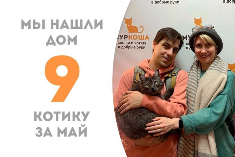 Ривирдейл снова домашний!