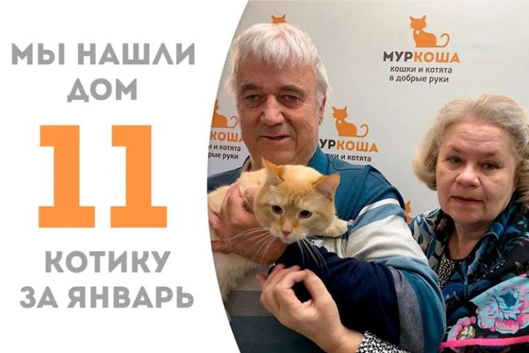 Меньше 2 месяцев понадобилось Ромео, чтобы вновь стать домашним!