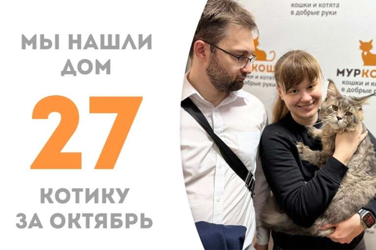 Харизматичный Русич стал домашним!