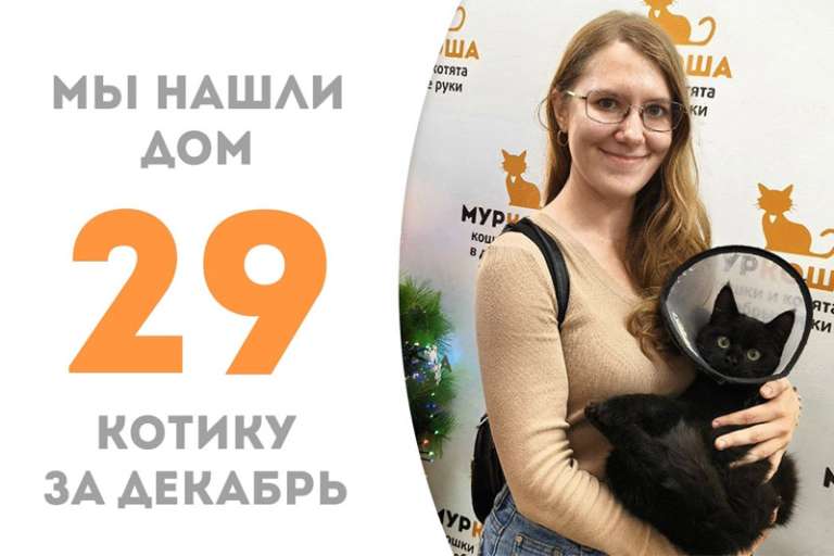 Бережливый Самайн нашел дом меньше чем за 2 месяца!
