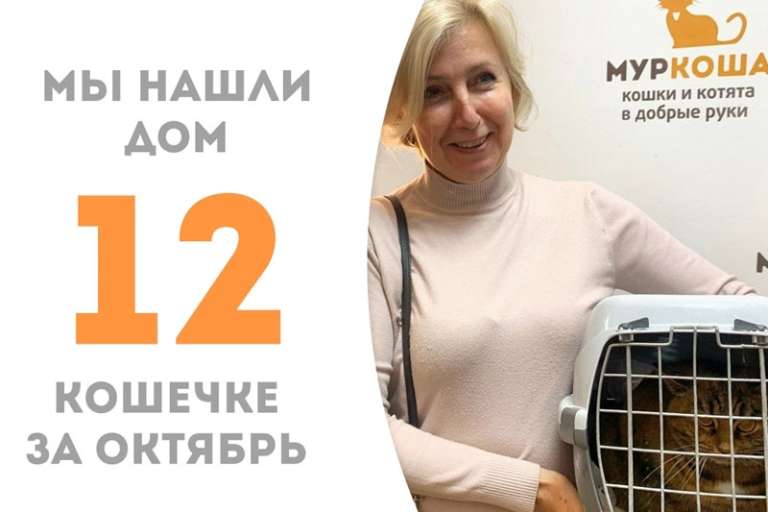 Грациозная Сарафина стала домашней!