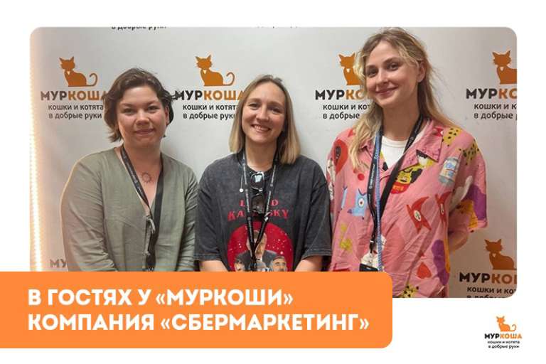 Гости "Муркоши". Компания «СберМаркетинг»