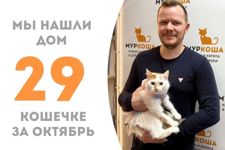 Очаровательная Сечиль уезжает в семью!