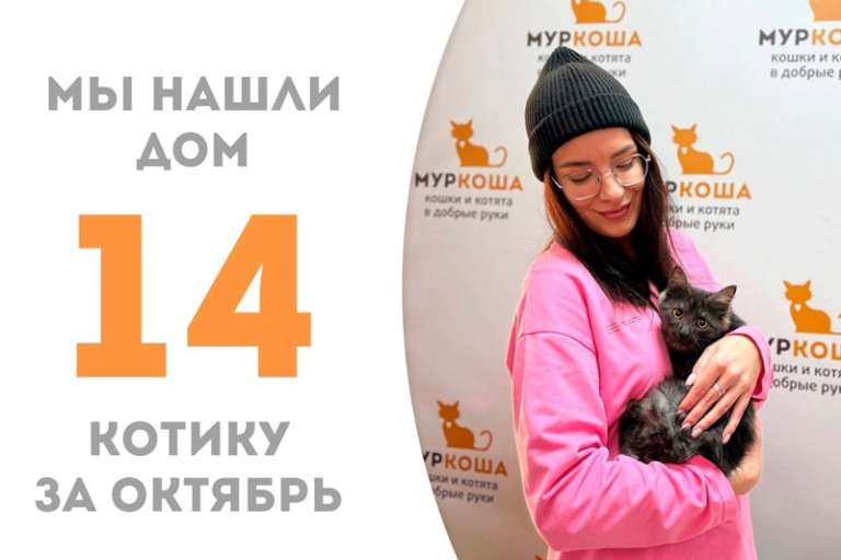 Серебренок стал домашним за 2 с небольшим месяца!