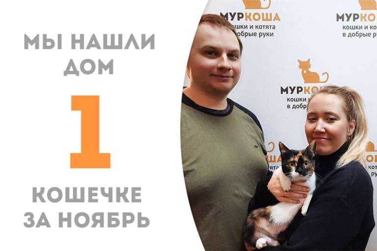Фотогеничная Шанти стала домашней!