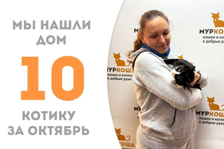 Сирокус нашел дом за полтора месяца!