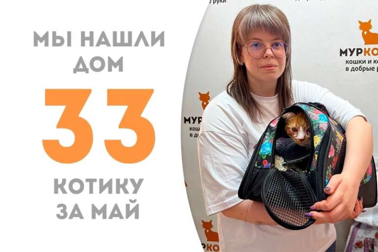 Очаровательный Солныш стал домашним!
