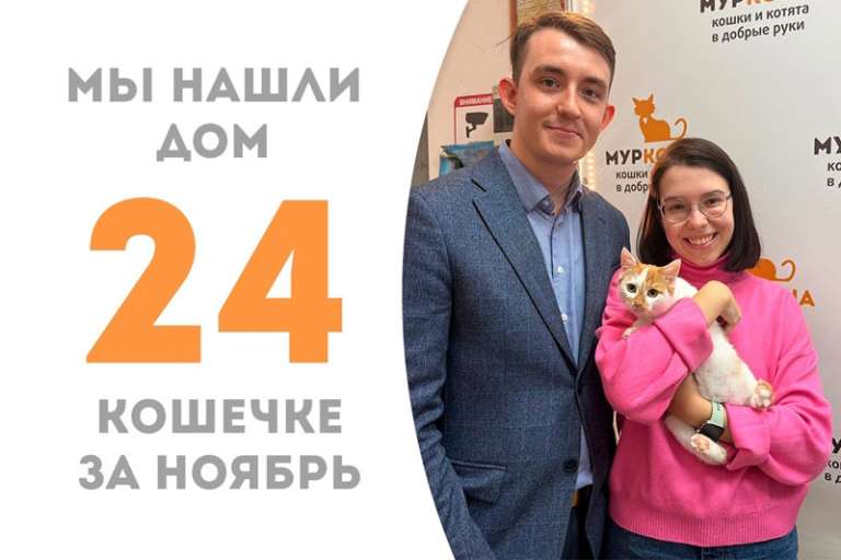 Юной кошечке Соломык посчастливилось найти дом всего за 1,5 месяца!