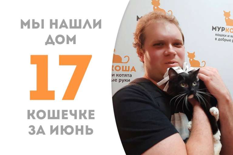 Счастье нашло Светопулю всего за два с маленьким хвостиком месяца!