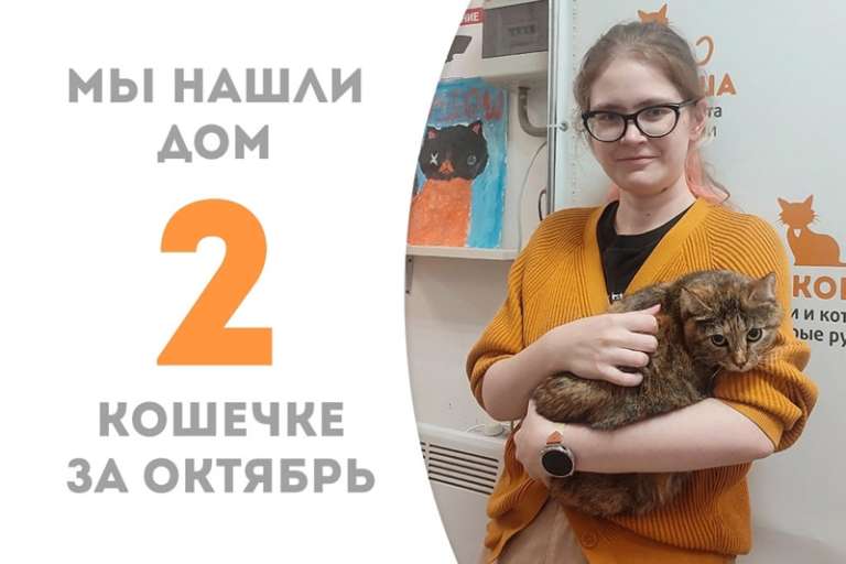 Трëхцветная красотка Табина обрела дом!