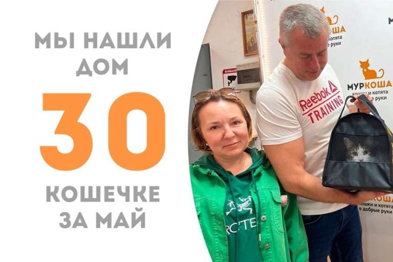 Кошка Талиша стала домашней!
