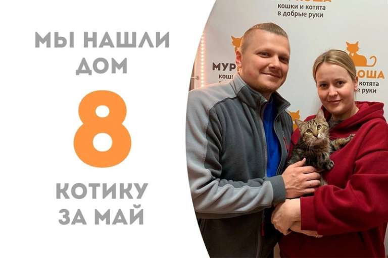 Меньше, чем за два месяца Татоний становится домашним!