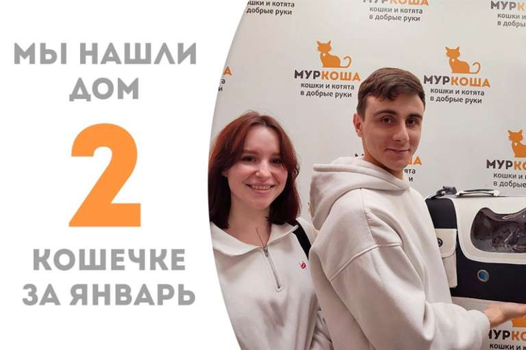 Изящная Тинкербелл обрела семью!