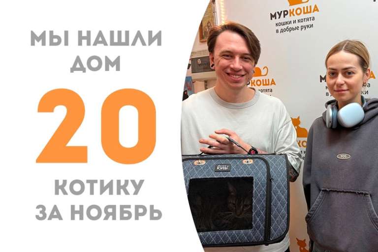 Любознательный Тисаль нашел дом!