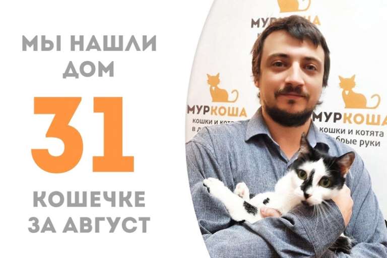 Трикки отправилась в домашнюю жизнь!