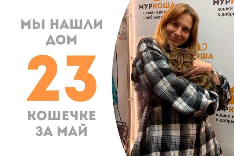 Утяша стала домашней за три месяца!
