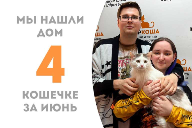 Проводили в домашнюю жизнь Вальдивию!