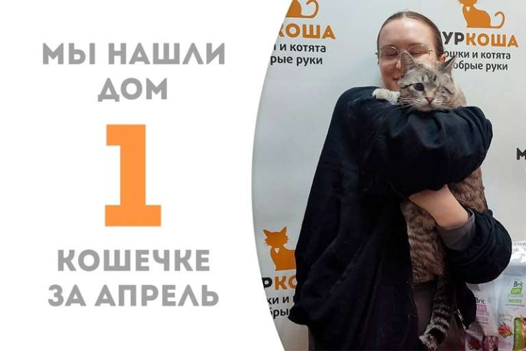 Валькирия становится первоапрельской, самой настоящей домашней счастливицей!