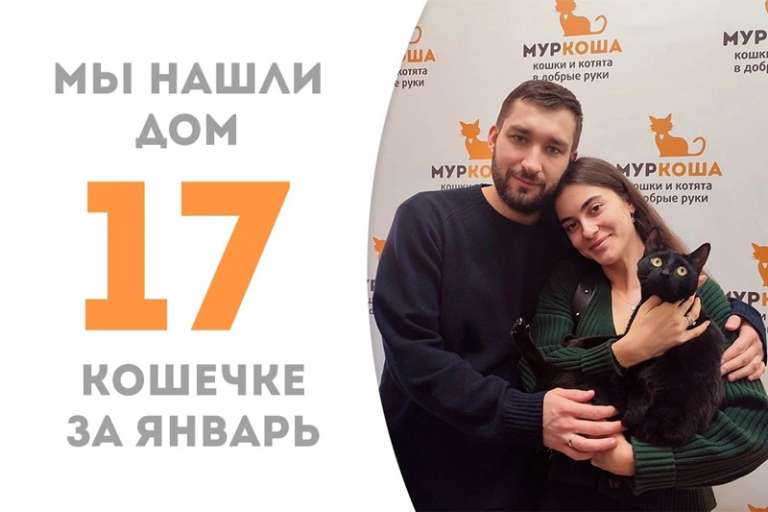 Для Васюни случилось чудо спустя полтора месяца в приюте!