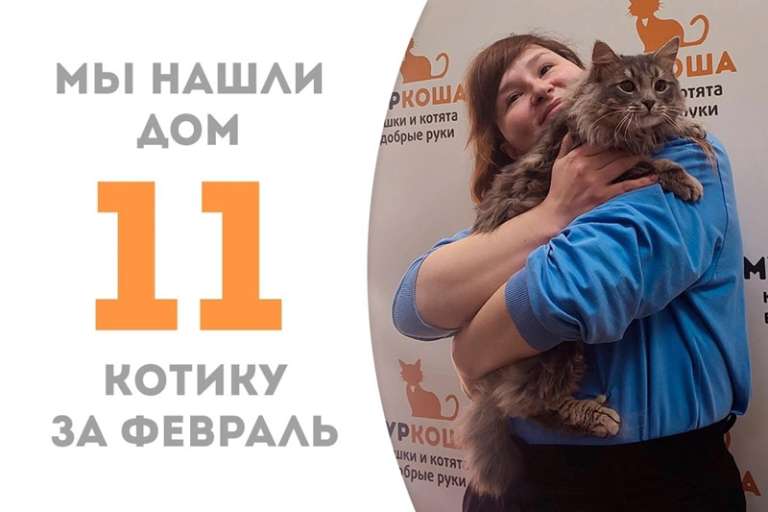 Венедикт отправляется домой!