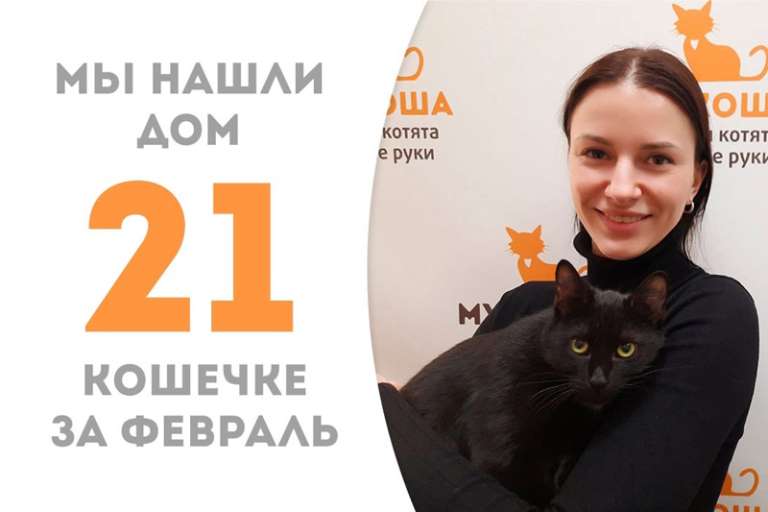 Прекрасная Виола будет цвести-расцветать у себя дома!