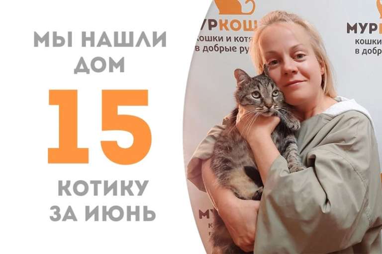 Витязь обретает семейный очаг!