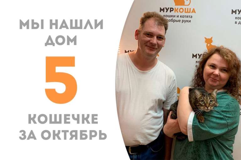 Кошечка Зендая уехала в любящий дом!