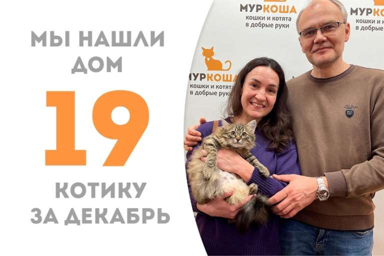 Пушистый Жмых обрел семью почти за полтора месяца!
