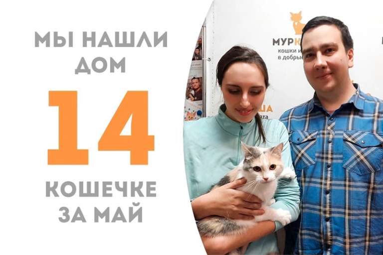Зимуля повстречала свою семью всего за десять дней!