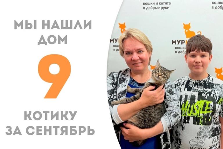 Милейший котёнок Аймерик обрел своё счастье!