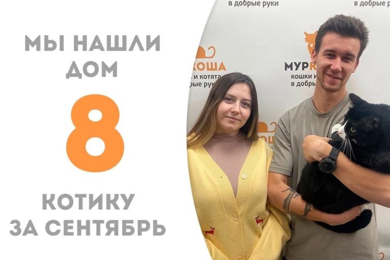 Долгие годы ожидания и, наконец, счастье - славный котик Бензол нашел дом!