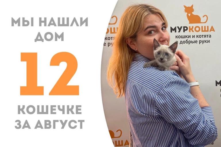 Котёнок девочка Канноли пробыла у нас чуть больше месяца и уехала домой, где её уже ждёт Солли!