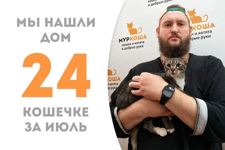 Умудрённая кошечка Клоти стала домашней!