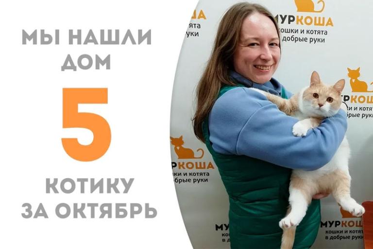 Плюшка Леонард дома!