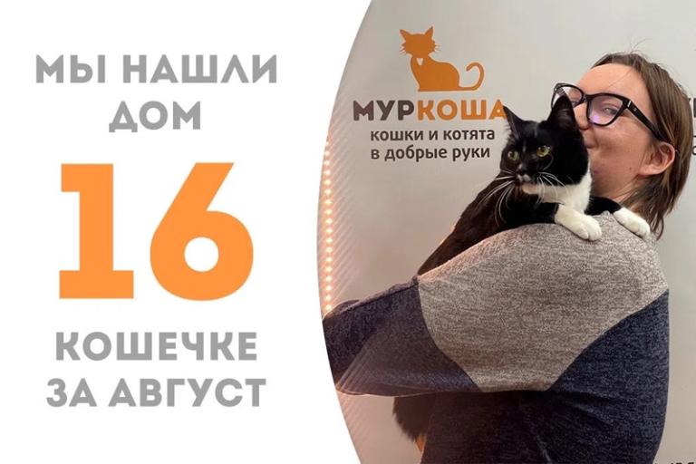 Красавица Линеечка нашла дом!
