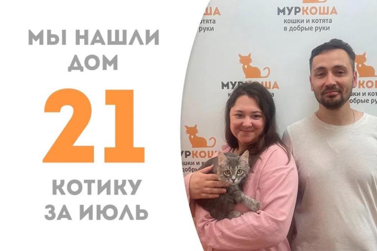 Сказочный котик Мальянник нашёл дом всего за 1,5 месяца!