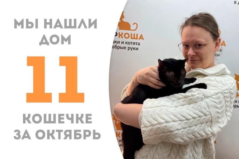 Маттиола становится домашней счастливицей!