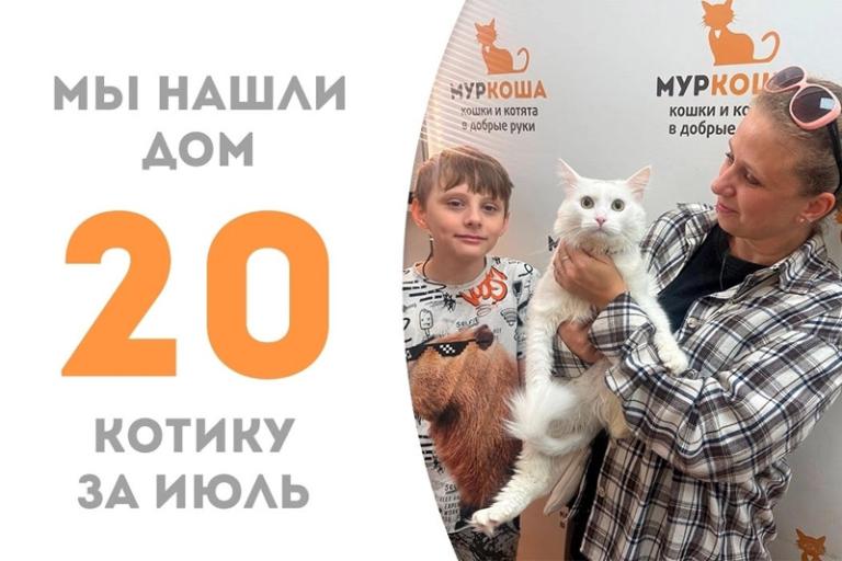 Радостная радость: котик Мурмурчик обрёл дорогую сердцу семью!