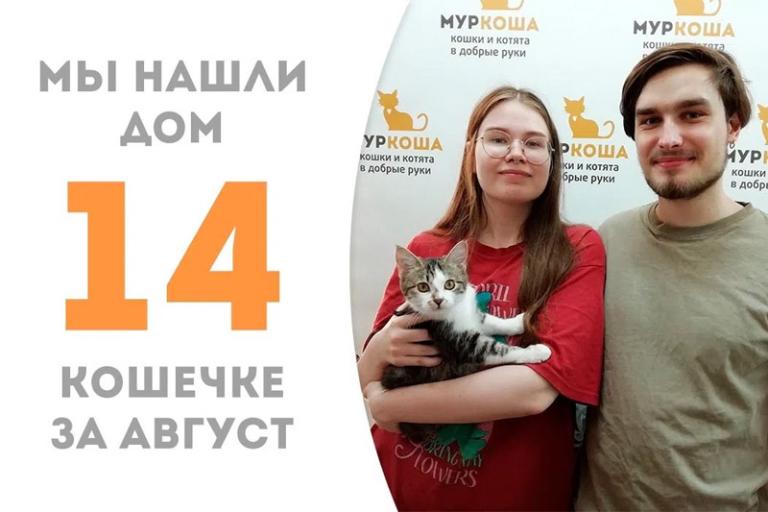 Кокетка Орхия стала домашней и уехала к Хэмлину!