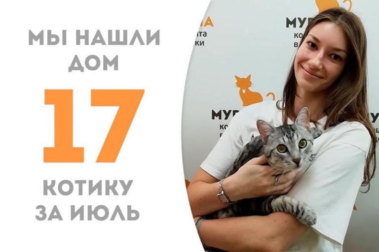 Красавец Полосëнок теперь дома!