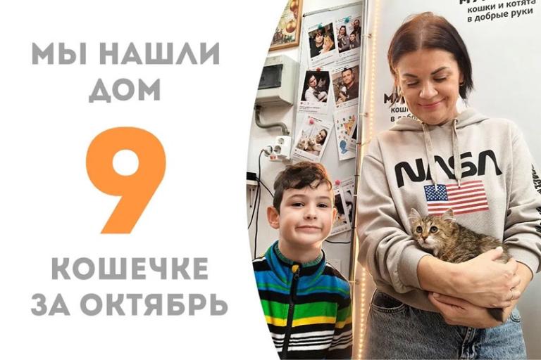 Красавица Полушка нашла дом за 10 дней!