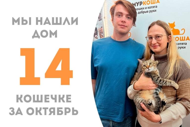 Юная Просекко обрела любящую семью и стала домашней!