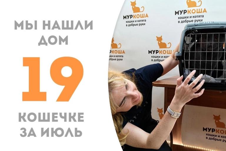 Благородная кошечка Солли нашла родителей!