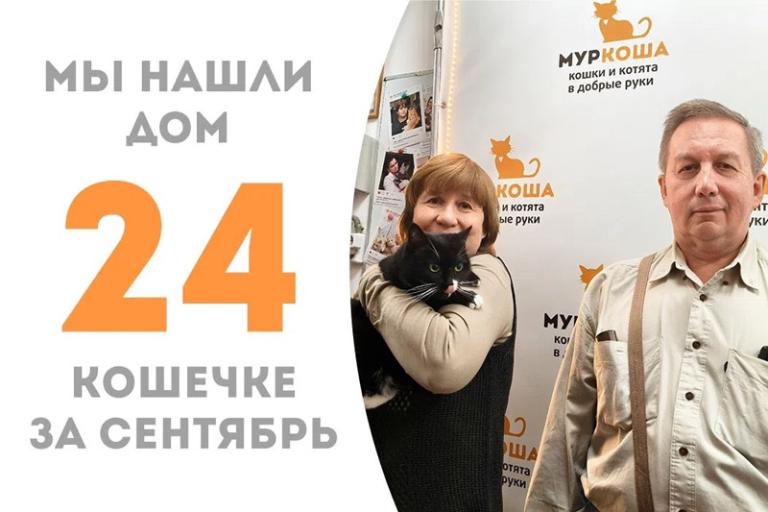 Божественная кошечка Тиори обрела счастье с родными людьми!