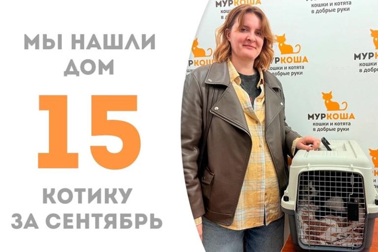 Чувственный Чупсель обрел семью!