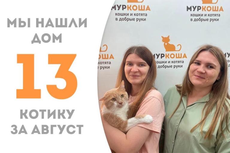 Обворожительный Элар стал домашним любимцем!