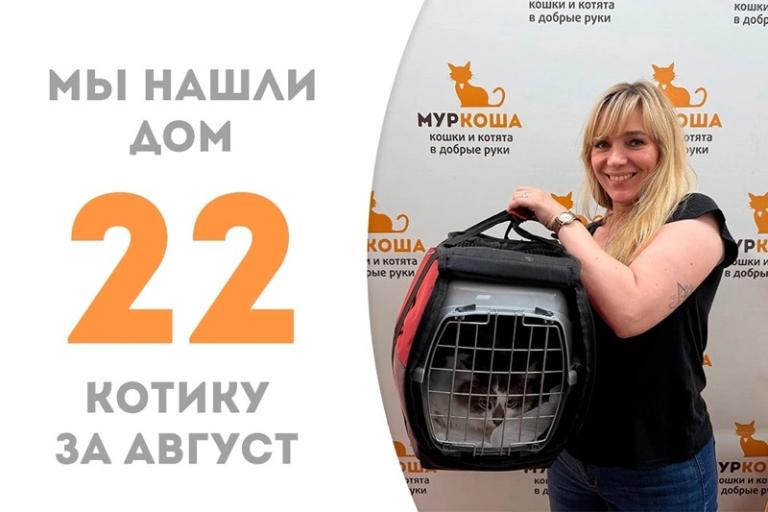 Шустрый котик Энцо стал домашним!