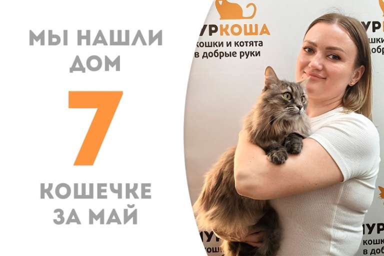 Прекрасная Акалифа уезжает в уютный дом!