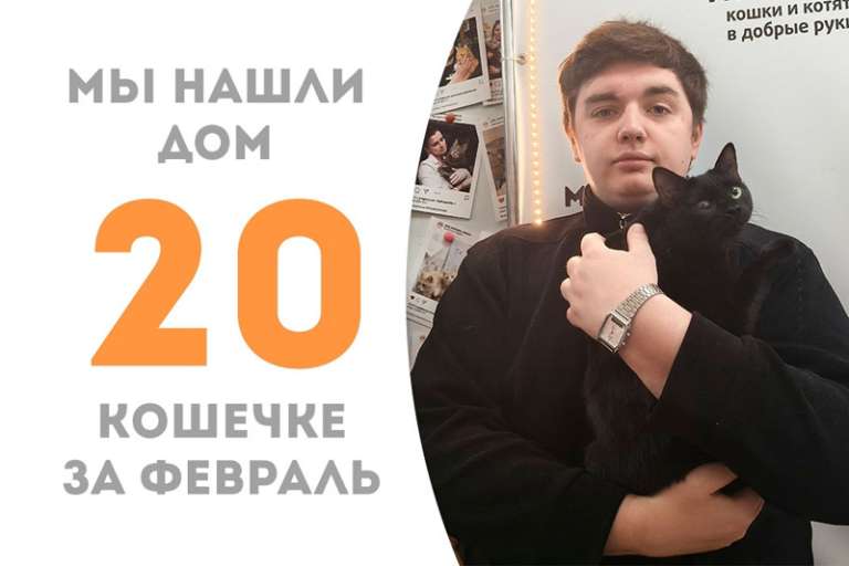 Чуть больше месяца понадобилось очаровательной Альфаре, чтобы стать домашней!