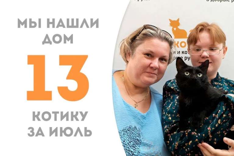Прошло 2 месяца, и котик Арденн обрёл дом!